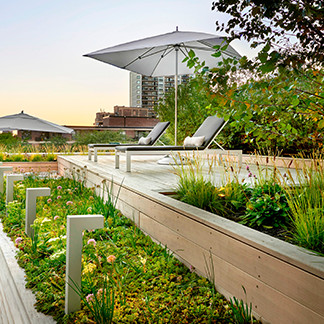 Lakefront Rooftop Yard