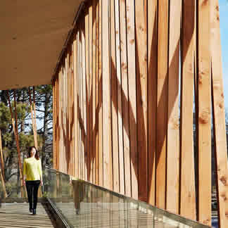 Writers Theatre Canopy Walk